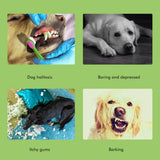 Plush Dog Toys Interactive Dog Puzzle Toys Cute Sloth Teething Chew Squeaky Dog Toys for Small Medium Large Dogs - Top-Down View