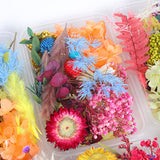 Dried Flower DIY Accessories Set