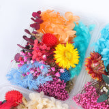 Dried Flower DIY Accessories Set