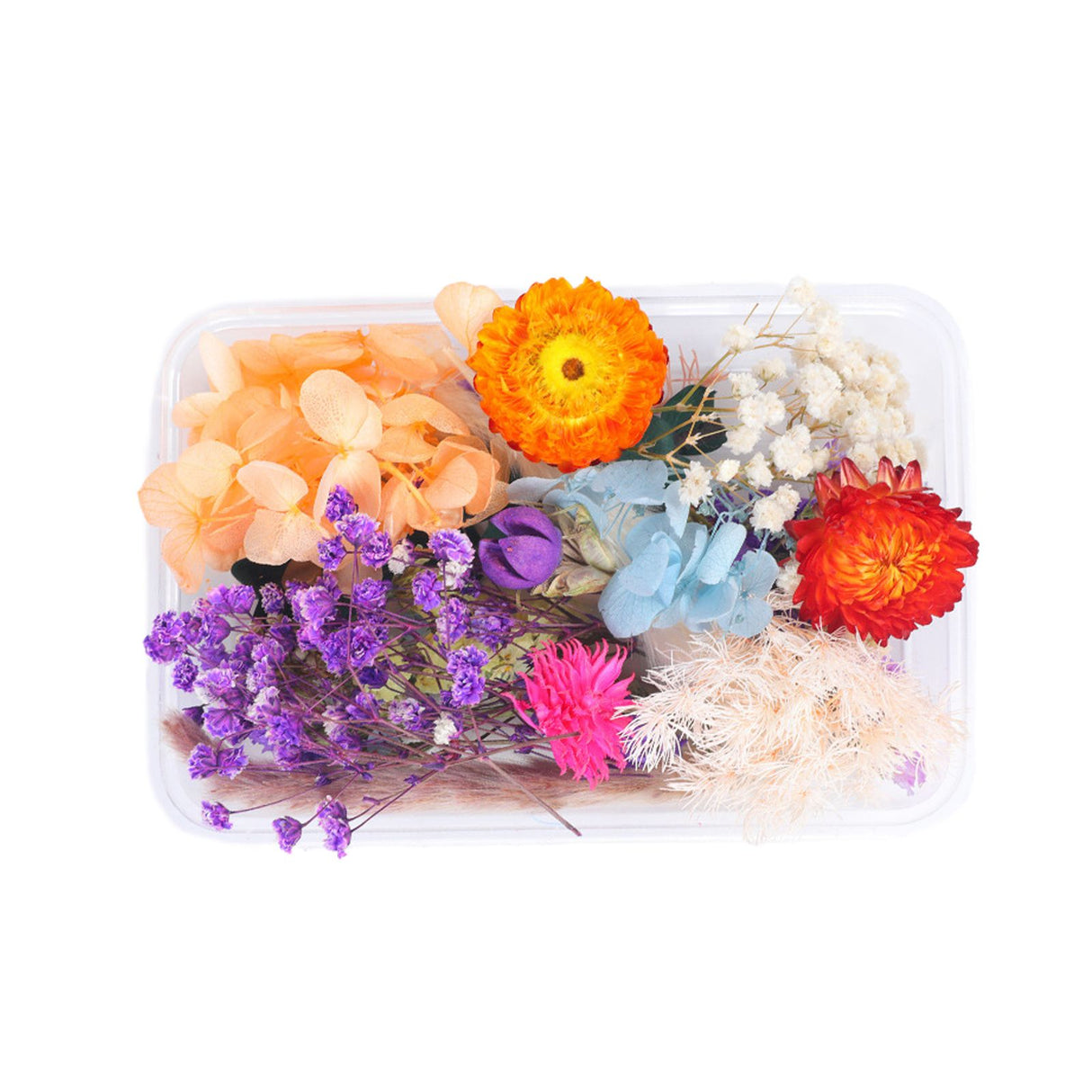 Dried Flower DIY Accessories Set