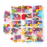 Dried Flower DIY Accessories Set - Rear View