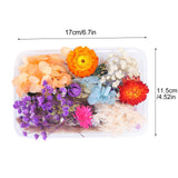 Dried Flower DIY Accessories Set
