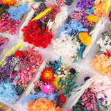 Dried Flower DIY Accessories Set