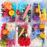 Dried Flower DIY Accessories Set