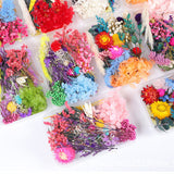 Dried Flower DIY Accessories Set - Extra Image