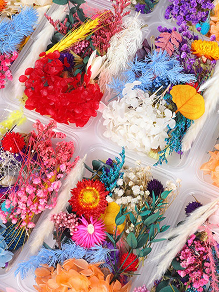 Dried Flower DIY Accessories Set