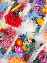 Dried Flower DIY Accessories Set