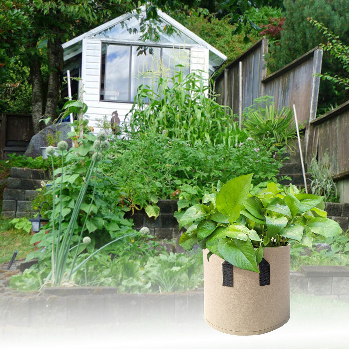 5pcs Planter Bag Breathable Reusable Thickened Plant Grow Pot With Dual Handles for Flowers Vegetables 10 Gallons