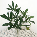 Artificial Olive Leaves Decoration Home Leaves Decoration for Wedding Garden