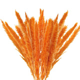 Dried Pampas Grass Natural Reed Dried Flowers Dried Pampas Grass Flowers Bouquet for Boho Home Decor - Front View