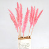 Dried Pampas Grass Natural Reed Dried Flowers Dried Pampas Grass Flowers Bouquet for Boho Home Decor