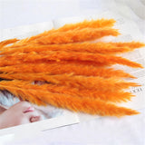 Dried Pampas Grass Natural Reed Dried Flowers Dried Pampas Grass Flowers Bouquet for Boho Home Decor - 45-Degree Angle