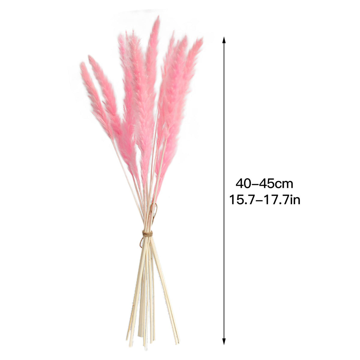Dried Pampas Grass Natural Reed Dried Flowers Dried Pampas Grass Flowers Bouquet for Boho Home Decor