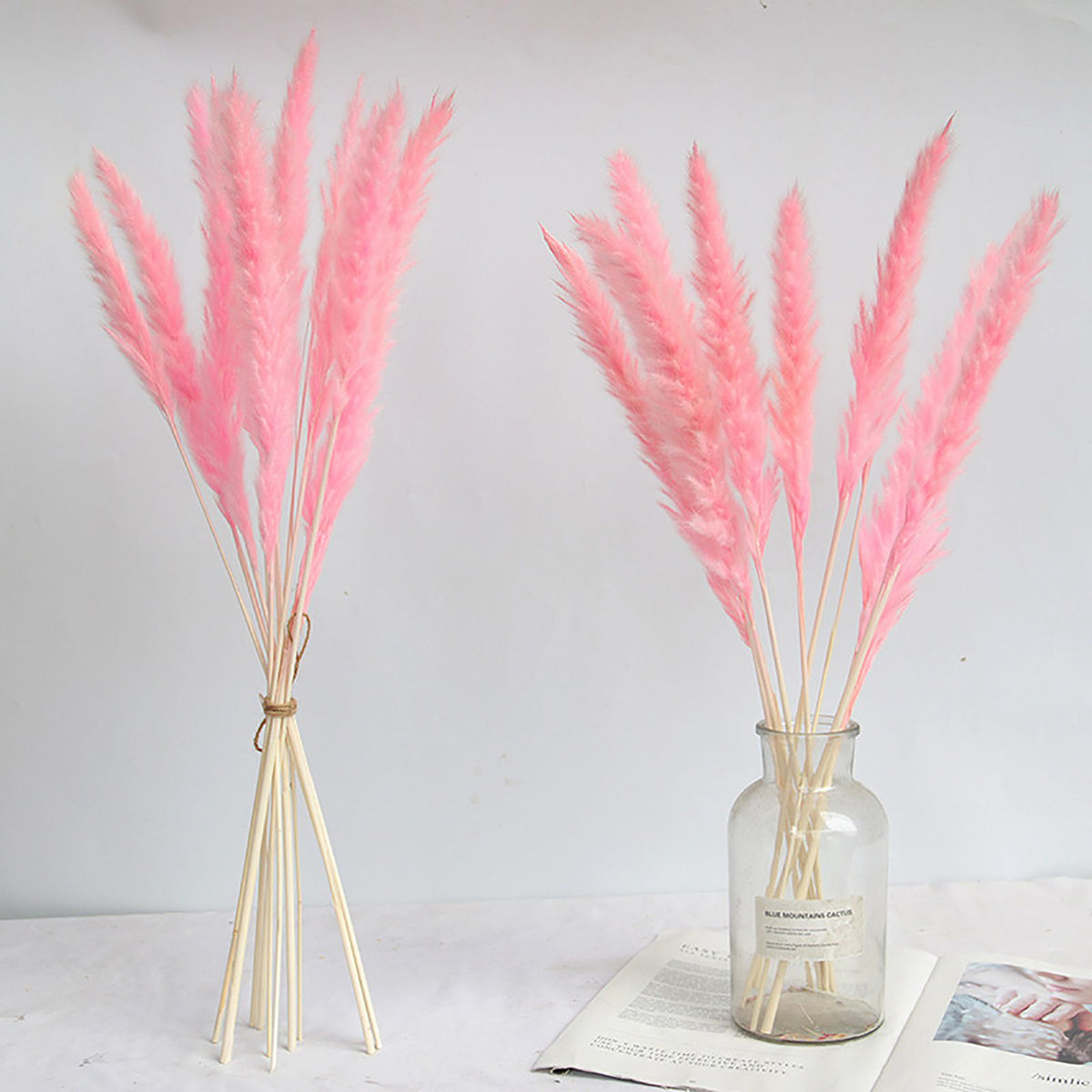 Dried Pampas Grass Natural Reed Dried Flowers Dried Pampas Grass Flowers Bouquet for Boho Home Decor