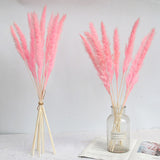Dried Pampas Grass Natural Reed Dried Flowers Dried Pampas Grass Flowers Bouquet for Boho Home Decor