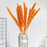 Dried Pampas Grass Natural Reed Dried Flowers Dried Pampas Grass Flowers Bouquet for Boho Home Decor