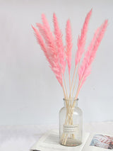 Dried Pampas Grass Natural Reed Dried Flowers Dried Pampas Grass Flowers Bouquet for Boho Home Decor