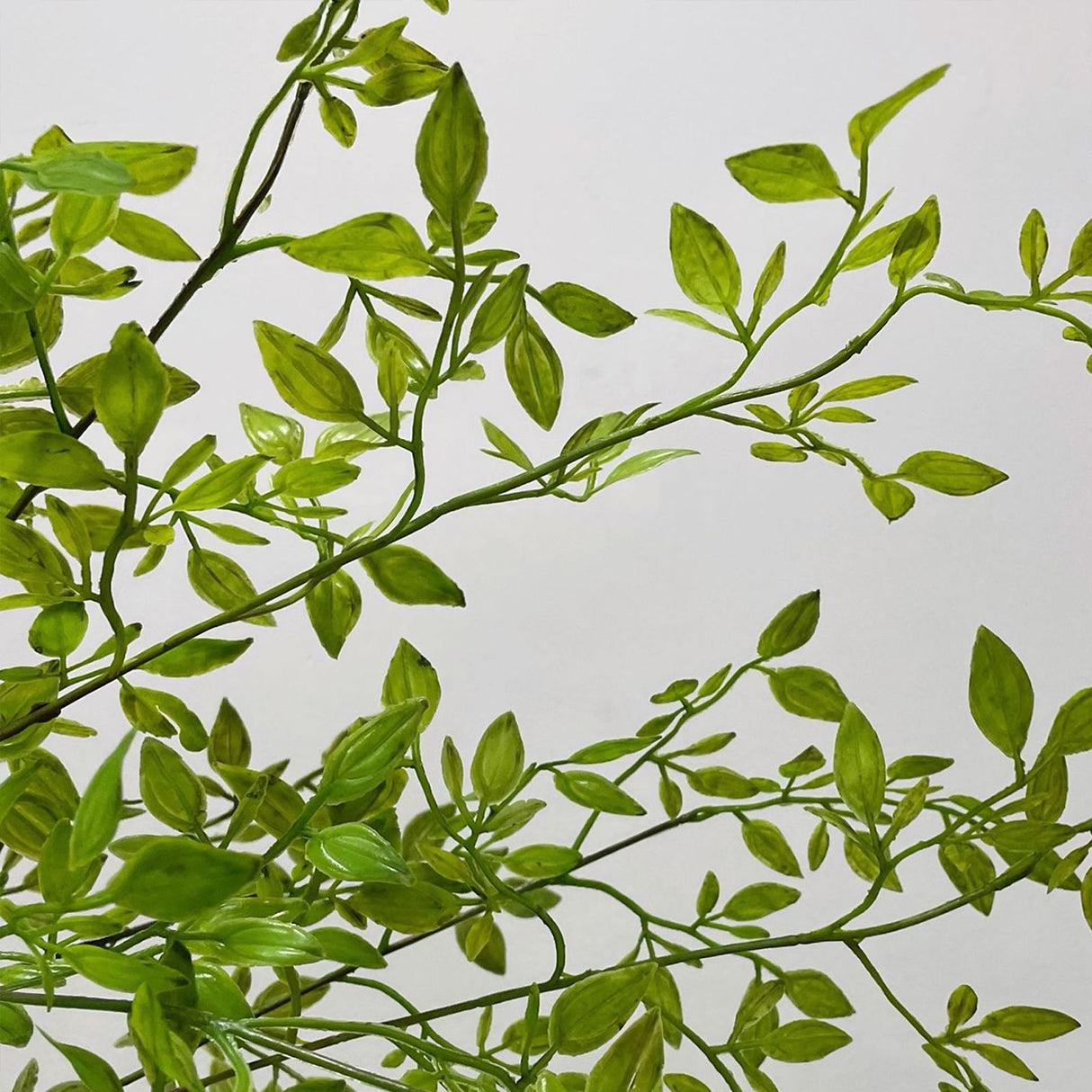 Artificial Green Plant Nandina Simulation Plant Branch Home Decoration