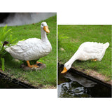 Outdoor Simulation Duck Decoration Garden Pool Water Landscape Decoration Layout Resin Decoration - Close-Up Angle