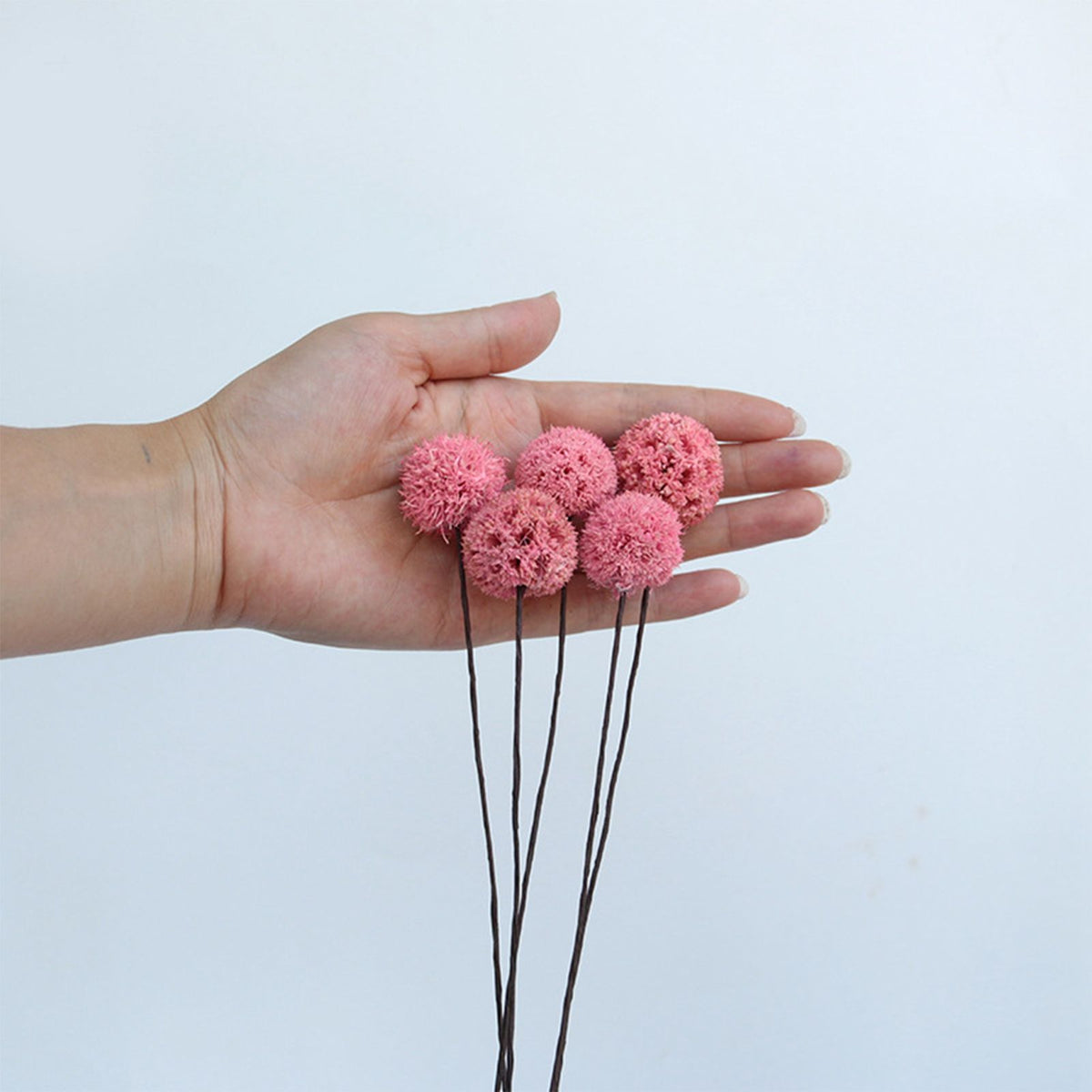 Billy Ball Flowers Dried Flowers Artificial Dried Flowers Home Garden Decoration