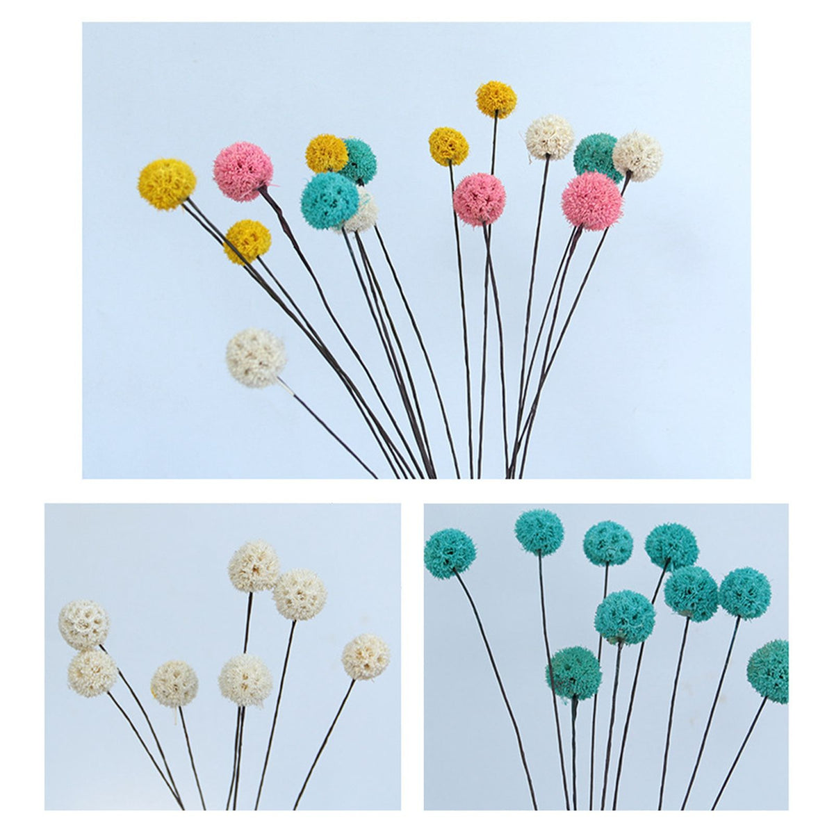 Billy Ball Flowers Dried Flowers Artificial Dried Flowers Home Garden Decoration