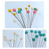 Billy Ball Flowers Dried Flowers Artificial Dried Flowers Home Garden Decoration