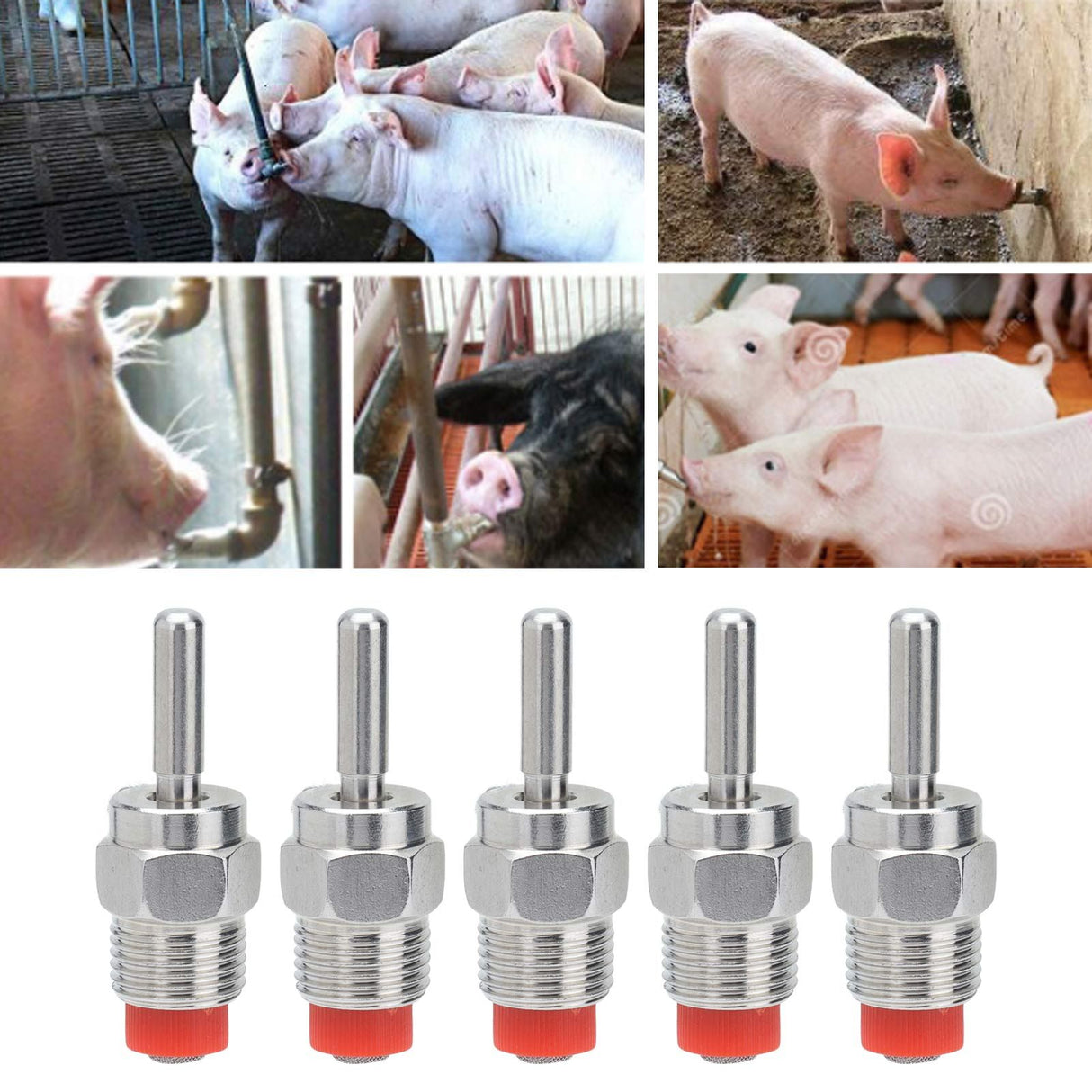 5Pcs Automatic Pig Waterer Safety Health Water Saving Clean Water Simple Structure Pig Water Nipple for Pig House