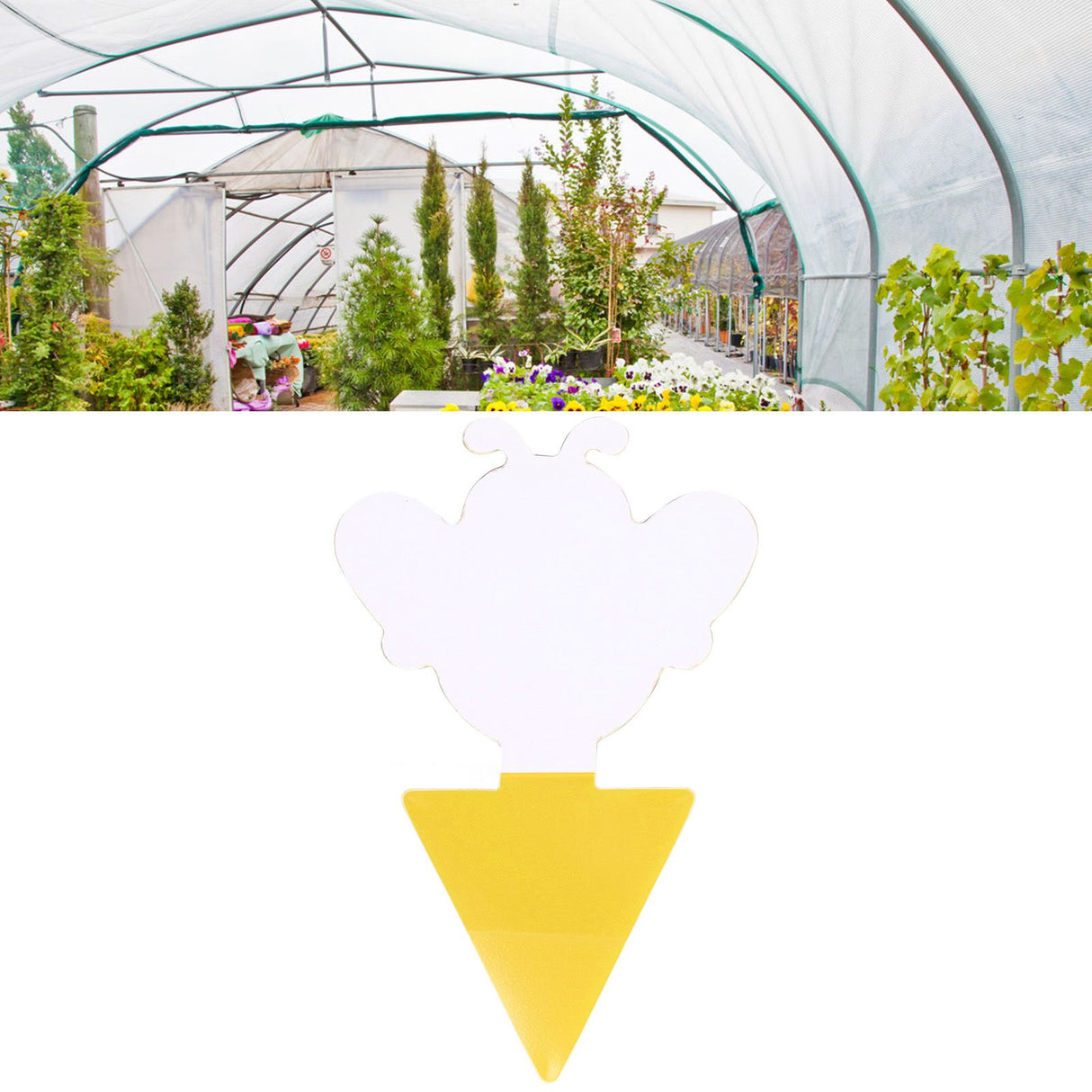 50Pcs Fungus Gnat Killer Effectively Catch Insects Strong Stickiness Easy to Use Insect Catching Board for GreenhouseBee