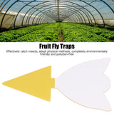 50Pcs Fungus Gnat Killer Effectively Catch Insects Strong Stickiness Easy to Use Insect Catching Board for GreenhouseTulips - Extra Image