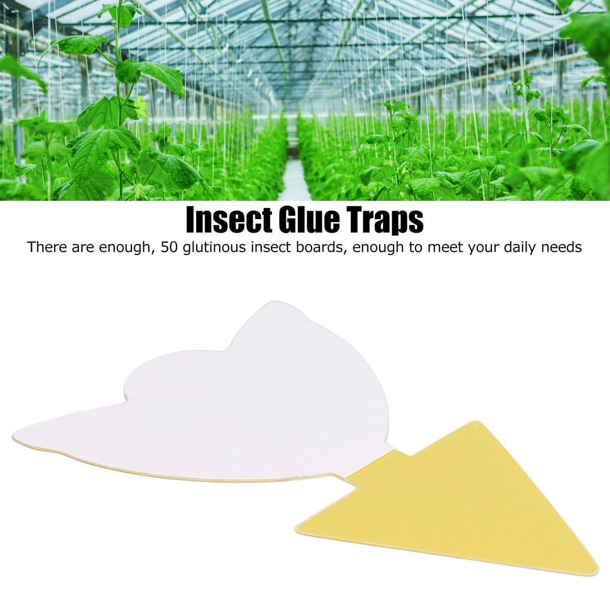 50Pcs Fungus Gnat Killer Effectively Catch Insects Strong Stickiness Easy to Use Insect Catching Board for GreenhouseTulips