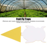 50Pcs Fungus Gnat Killer Effectively Catch Insects Strong Stickiness Easy to Use Insect Catching Board for GreenhouseDemon