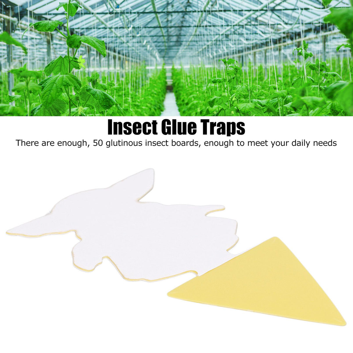 50Pcs Fungus Gnat Killer Effectively Catch Insects Strong Stickiness Easy to Use Insect Catching Board for GreenhouseYoda