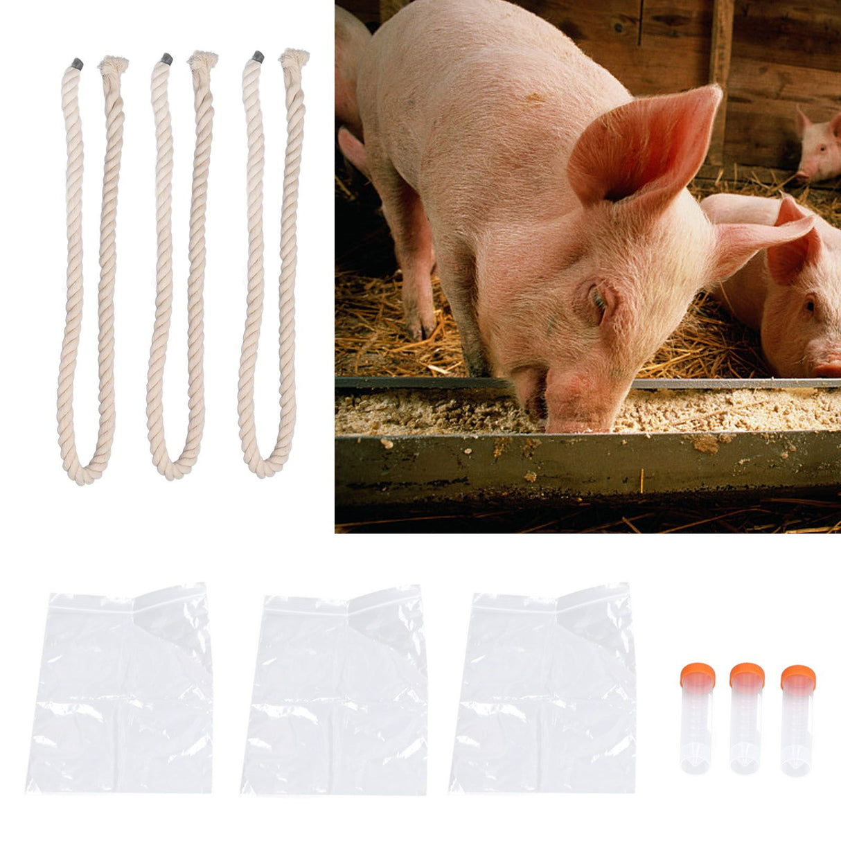 3Sets Saliva Sampling Rope Strong Practicability Complete Tools Soft Cotton Rope Swine Fever Detection Tool for Pigs