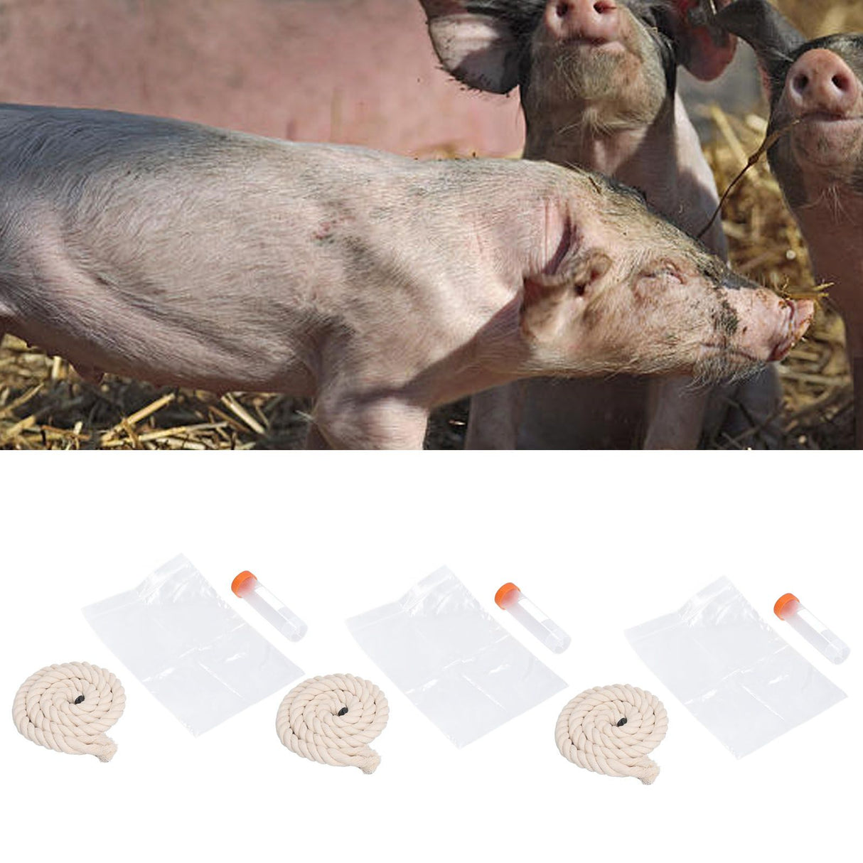 3Sets Saliva Sampling Rope Strong Practicability Complete Tools Soft Cotton Rope Swine Fever Detection Tool for Pigs