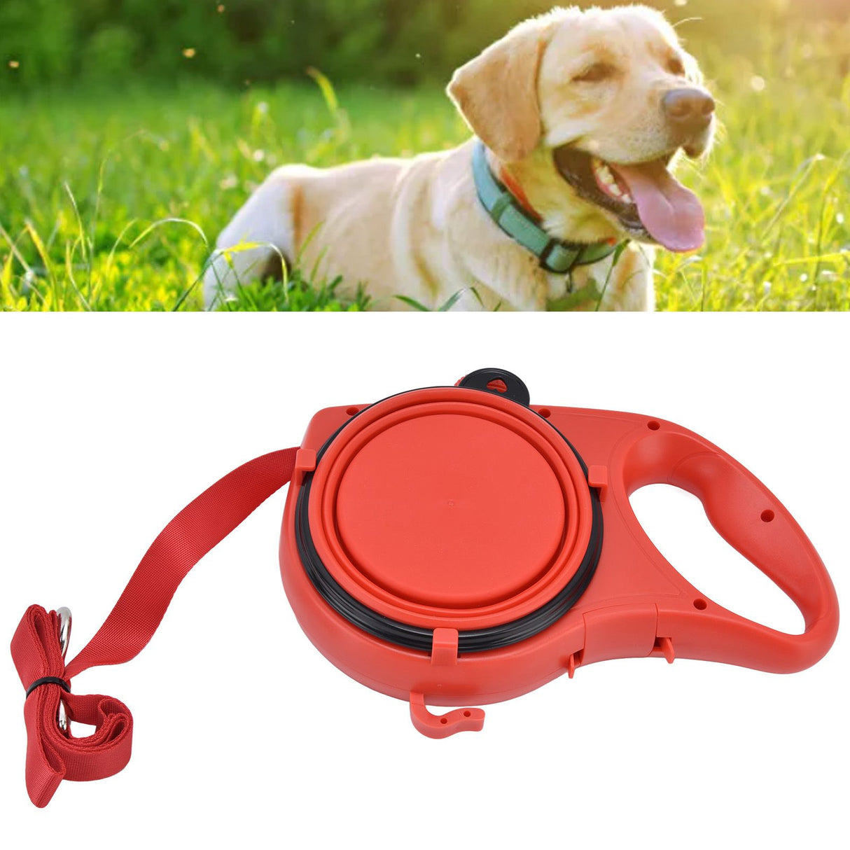 Pet Leash Multifunction Hollow Inside Multicolor Optional Lightweight Portable Small Dog LeashRed