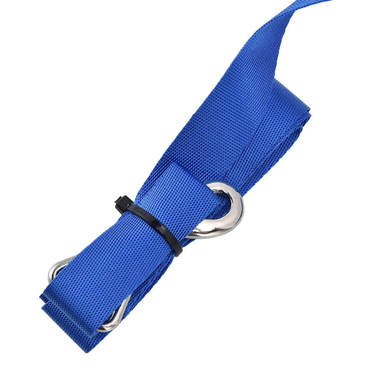 Pet Leash Multifunction Hollow Inside Multicolor Optional Lightweight Portable Small Dog LeashBlue