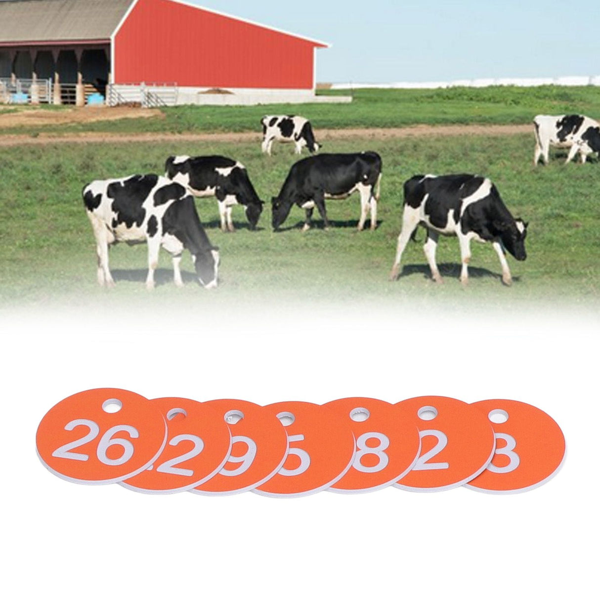 50Pcs Numbered Label Round Simple Beautiful Beehive Tag Breeding Supplies for Beekeeping Animal HusbandryNumbers 1 to 50 Orange