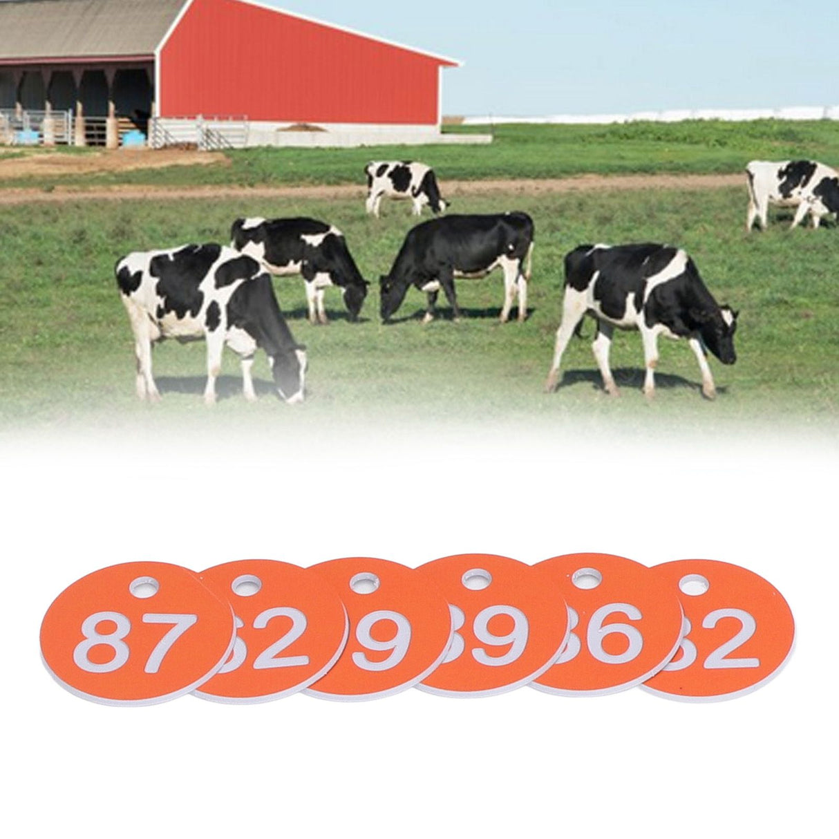 50Pcs Numbered Label Round Simple Beautiful Beehive Tag Breeding Supplies for Beekeeping Animal HusbandryNumbers 51 to 100 Orange