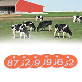 50Pcs Numbered Label Round Simple Beautiful Beehive Tag Breeding Supplies for Beekeeping Animal HusbandryNumbers 51 to 100 Orange