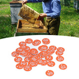 50Pcs Numbered Label Round Simple Beautiful Beehive Tag Breeding Supplies for Beekeeping Animal HusbandryNumbers 51 to 100 Orange