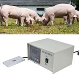 Constant Temperature Plate Digital Display Constant Temperature Carrier for Pig Artificial Insemination AU Plug 220V - Extra Image