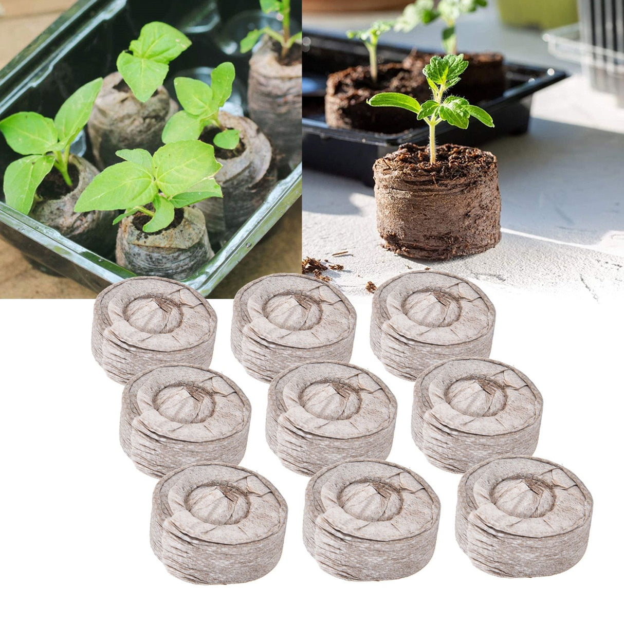 50Pcs Compressed Peat Block Cultivation and Nursery Nutrient Block Soil for Plant Flower VegetablesΦ40 X 10 mm
