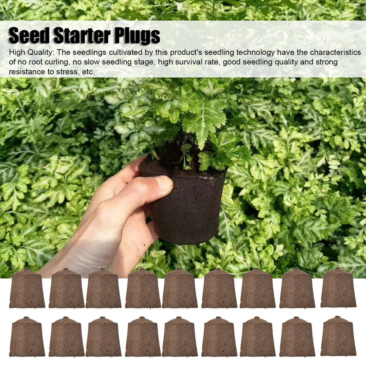 50pcs Growth Plugs Environet Seed Starter Plugs for Seed Starting Hydroponic and Soil Applications