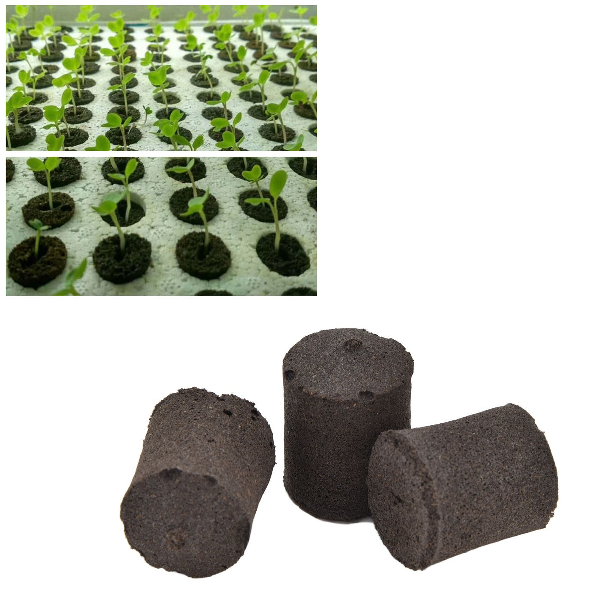 50pcs Growth Plugs Seed Starter Plugs Seed Starting Blocks for Hydroponic and Soil Applications