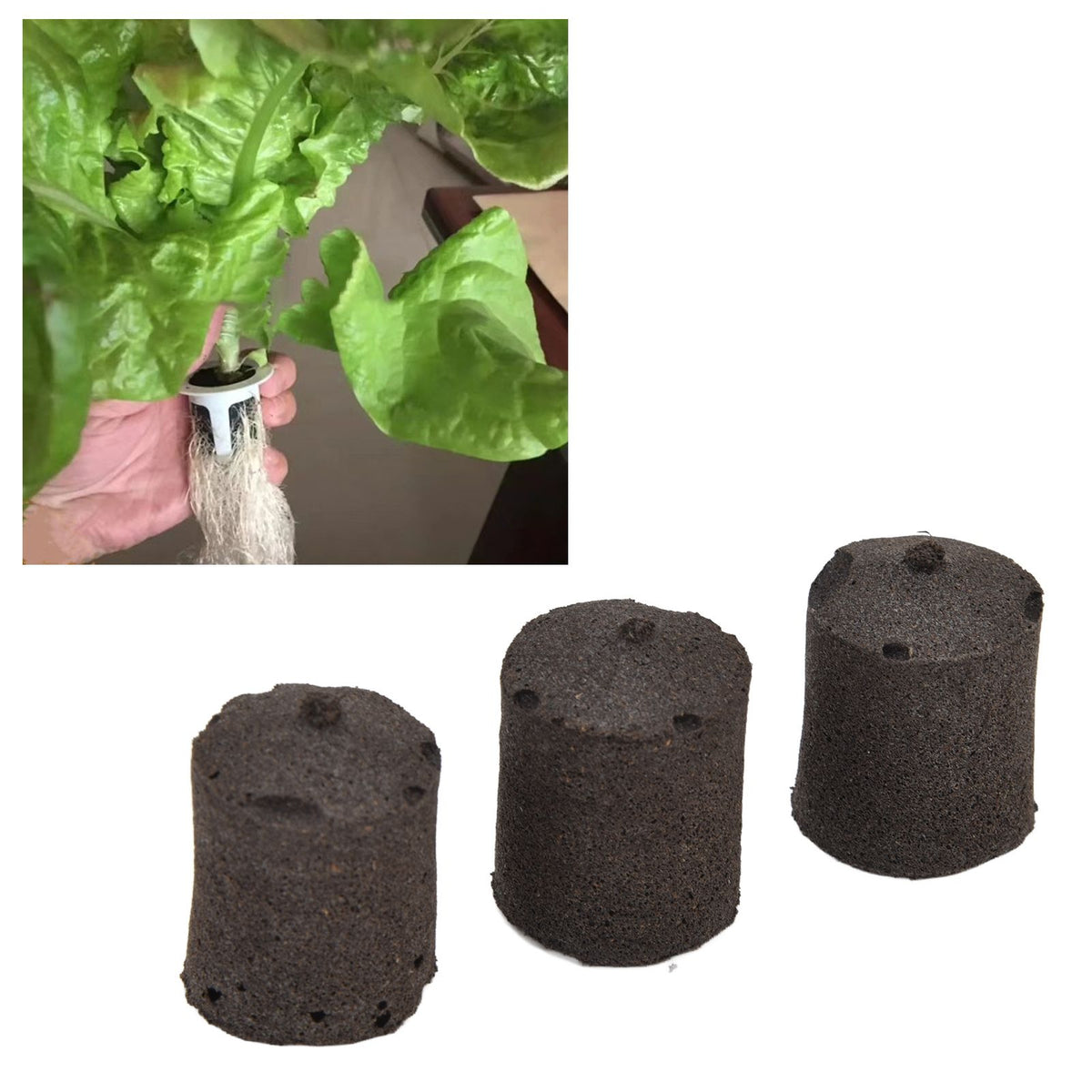 50pcs Growth Plugs Seed Starter Plugs Seed Starting Blocks for Hydroponic and Soil Applications