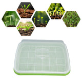 Sprouting Tray Transparent Lid Dense Small Holes Fine Workmanship Plastic Material Seed Sprouter - Extra Image