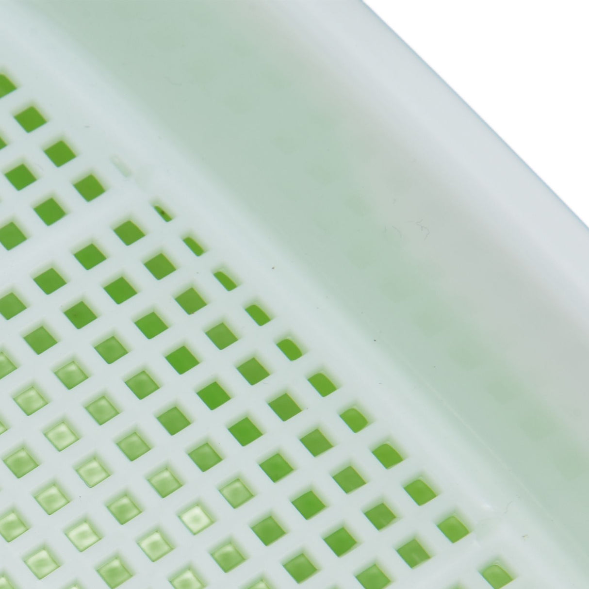 Sprouting Tray Transparent Lid Dense Small Holes Fine Workmanship Plastic Material Seed Sprouter