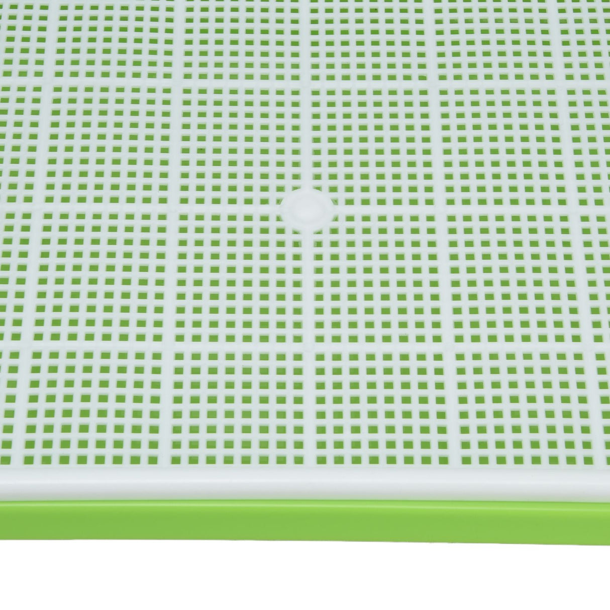 Sprouting Tray Transparent Lid Dense Small Holes Fine Workmanship Plastic Material Seed Sprouter