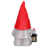 Garden Resin Gnome Statue Sculpture Garden Ornaments for Desktop Courtyard Decorations