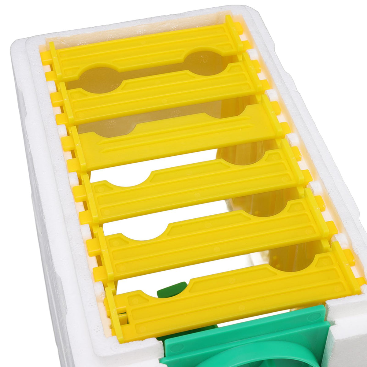 Double Layer Queen Bee Breeding Rearing Box Foam Frame Beehive Beekeeping Tool Beekeeping Equipment